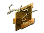 somebody (Gold) | Boston 2018 image